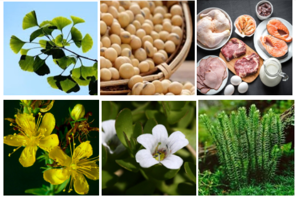 MemoForce Ingredients