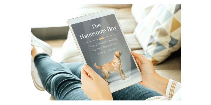 UltraK9 Pro BONUS #1 - The handsome boy groomer’s secrets to keeping your dog’s mane and teeth in perfect condition