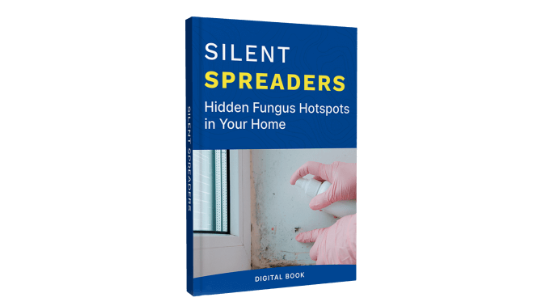 Blinzador BONUS #1 Silent Spreaders