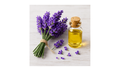 Blinzador - Lavender Oil