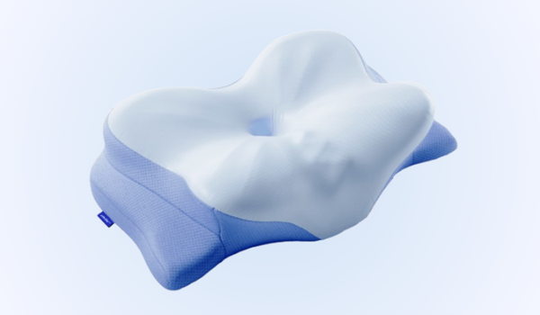 Derila ERGO Memory Foam Pillow Reviews