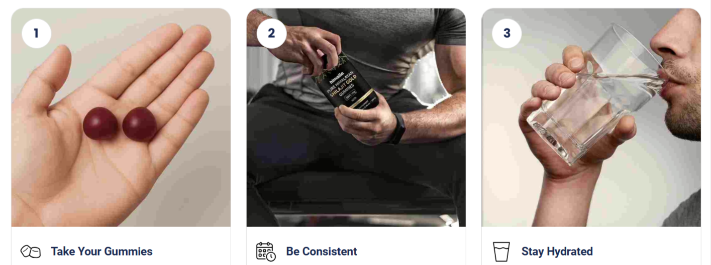 Himalayan Shilajit Gummies Gold uses